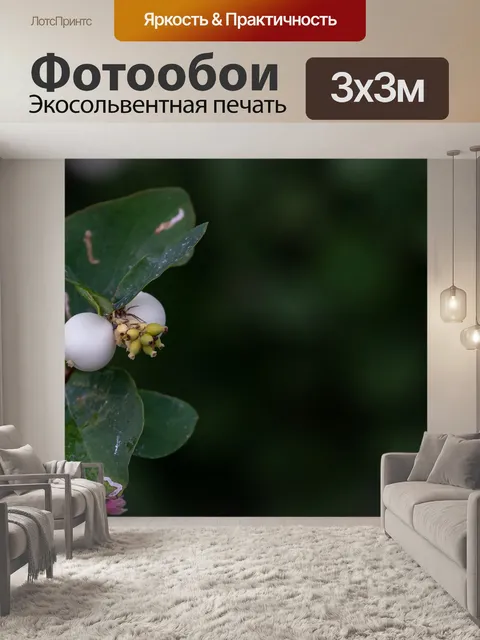 Фотообои Цветы