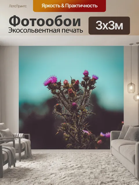 Фотообои Чертополох