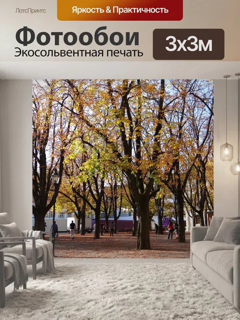 Фотообои Осенние деревья