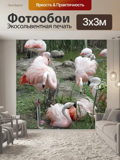 Фотообои Фламинго