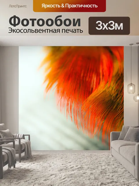 Фотообои Перья