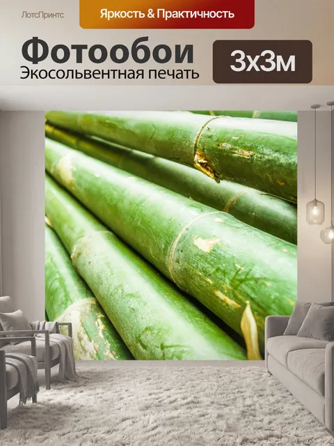 Фотообои Бамбуковый лес природа фон