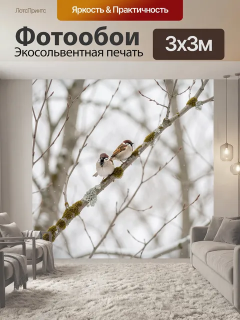 Фотообои Две воробьи на ветке