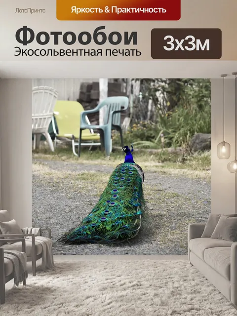 Фотообои Природа