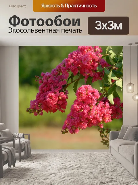 Фотообои Креп Миртл дерево
