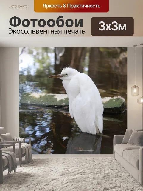 Фотообои Птица