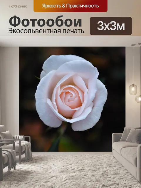 Фотообои Розовый