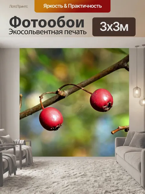 Фотообои Фрукты
