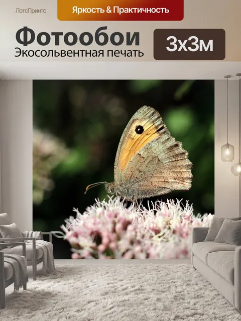 Фотообои Бабочка
