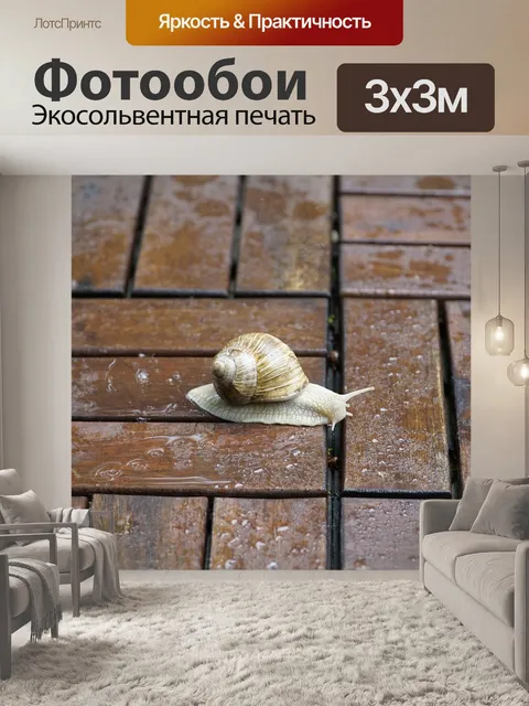 Фотообои Дождь