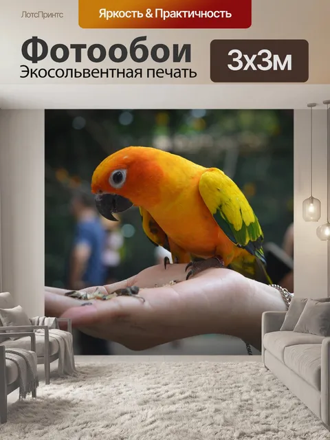 Фотообои Попугаи
