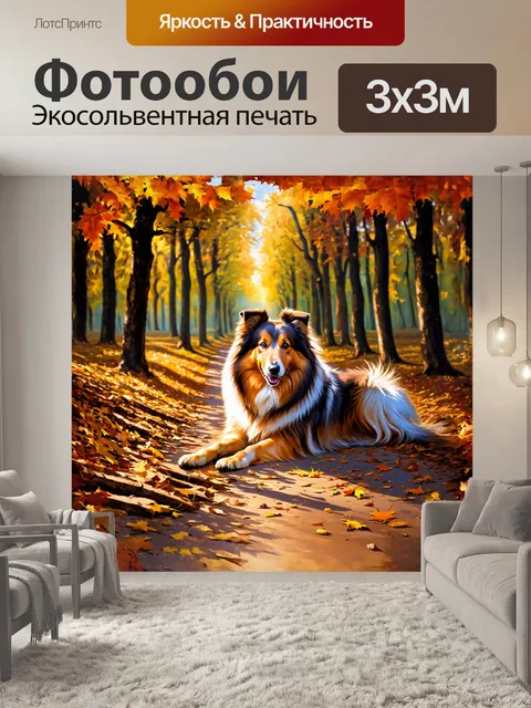 Фотообои грубая колли, нежно лежащая на пустынном осеннем лесном пути, окруженном опавшими листьями