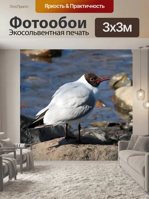 Фотообои Птица
