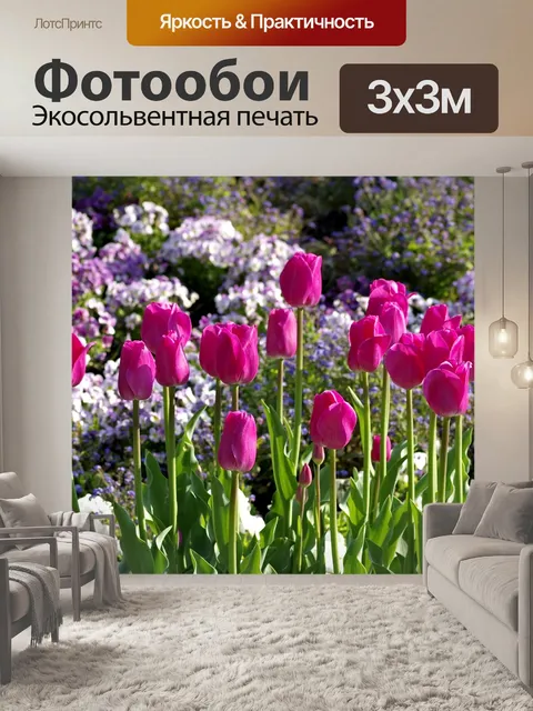 Фотообои Тюльпаны