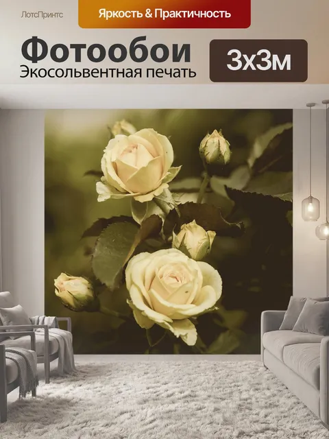 Фотообои Розы
