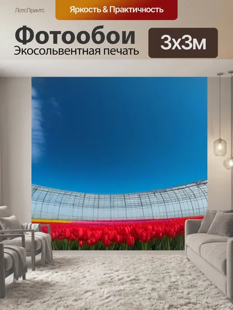 Фотообои небо над тюльпанами в оранжерее