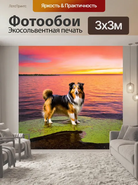 Фотообои на фоне заката шелти стоит на берегу озера, отражение его фигуры и яркие краски неба создают волшебный момент