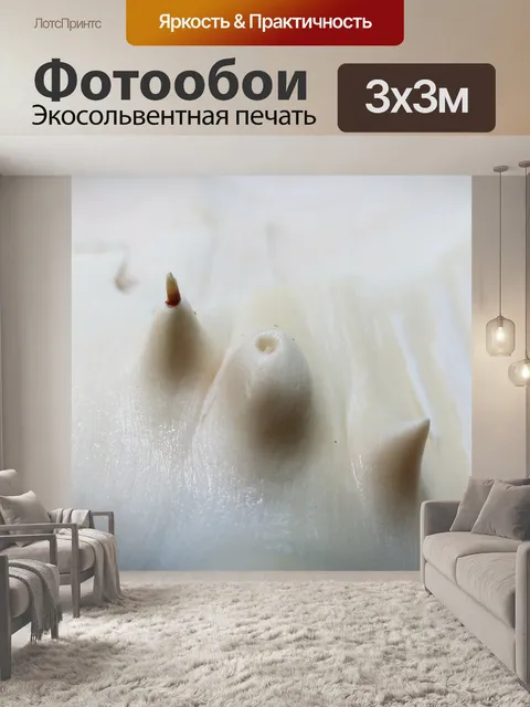 Фотообои Дерево
