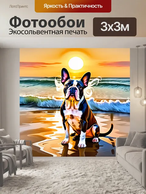 Фотообои герда, французский бульдог, сидящая на берегу моря, с ярким восходом солнца на фоне