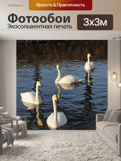 Фотообои Лебеди
