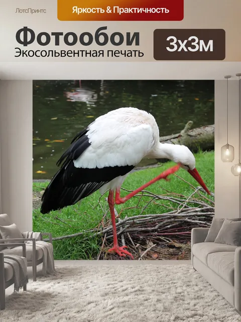 Фотообои Аист