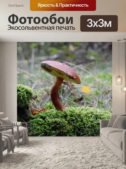 Фотообои Лес
