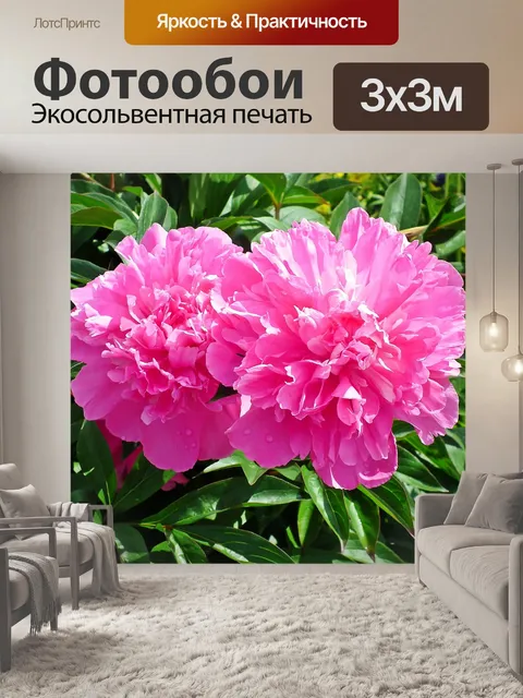 Фотообои Пионы