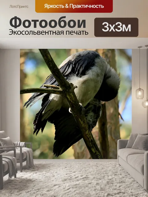 Фотообои Перья