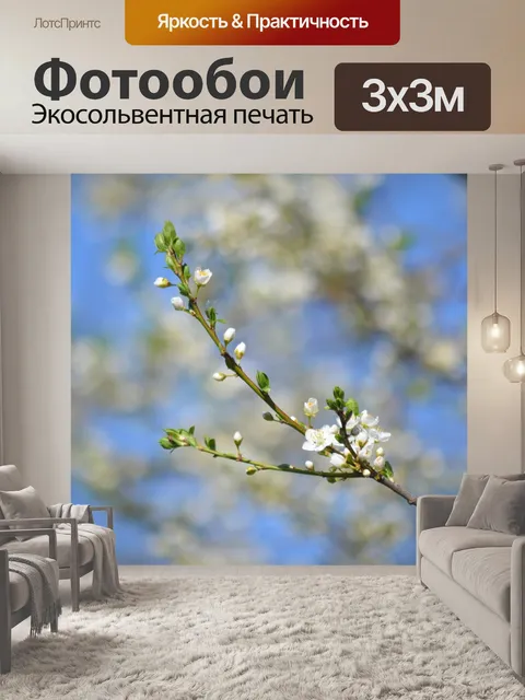 Фотообои Ветвь