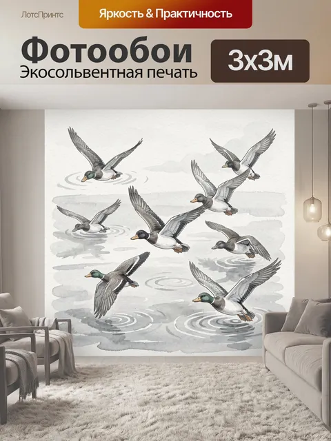 Фотообои Утки в полёте над водой