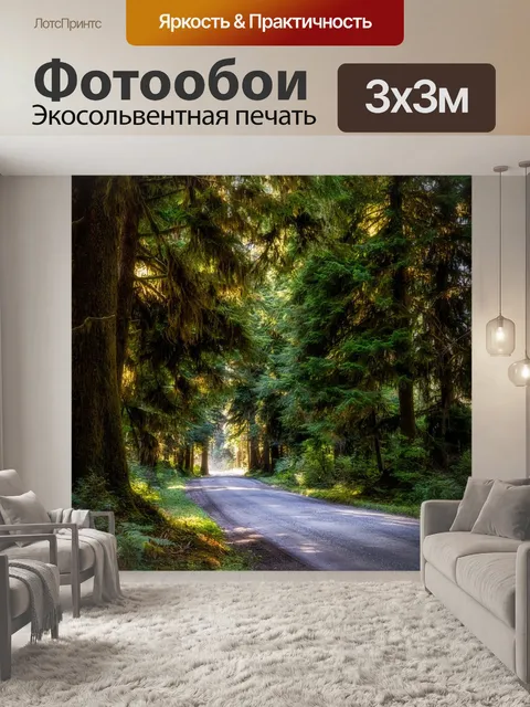 Фотообои Дорога