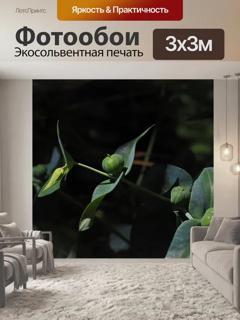Фотообои Молочай поперечно-листовой