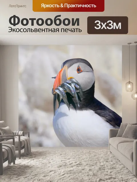 Фотообои Птицы
