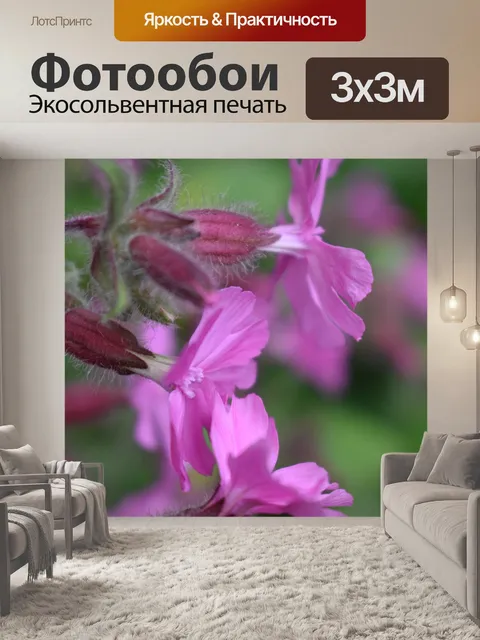 Фотообои Цветы