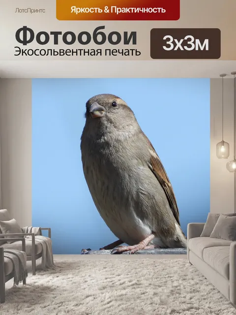 Фотообои Воробей