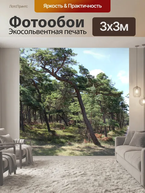 Фотообои Лес