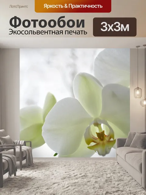 Фотообои Орхидеи
