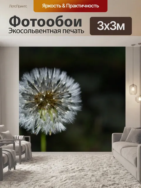 Фотообои Одуванчик