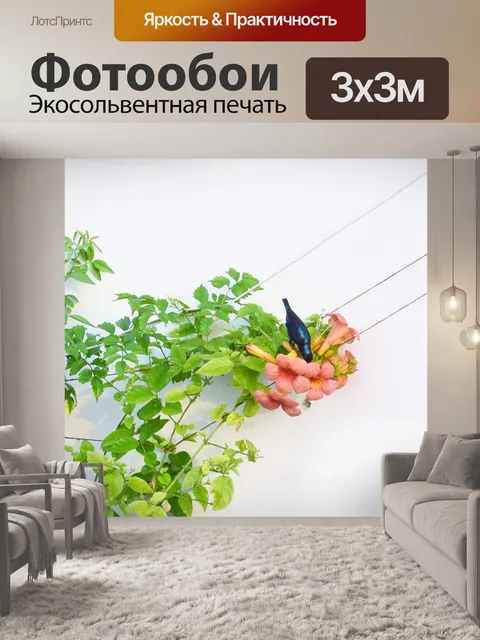 Фотообои Колибри на нектар