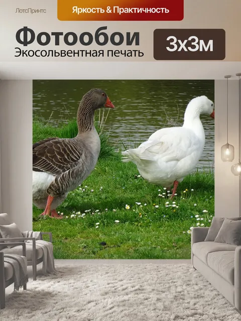 Фотообои Гуси