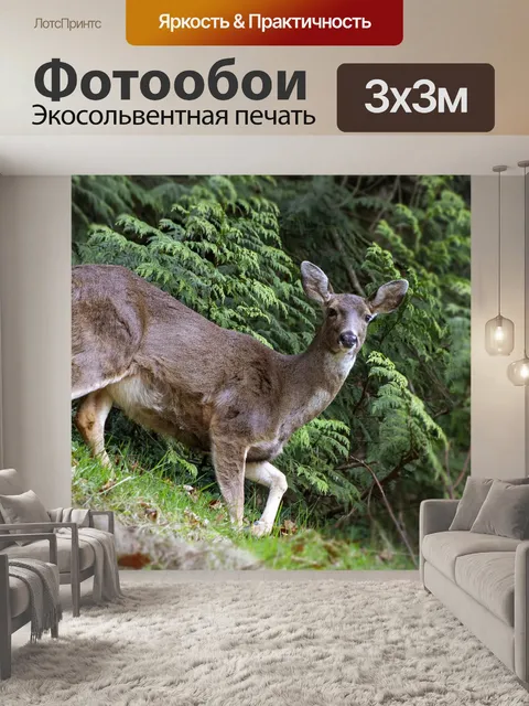 Фотообои Олень