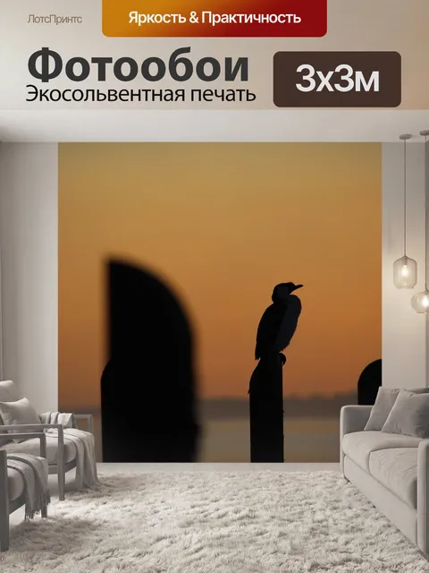 Фотообои Баклан