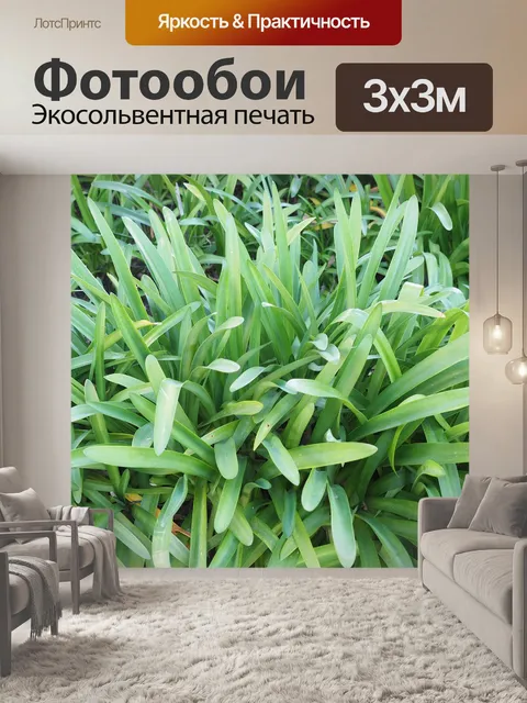 Фотообои Листья