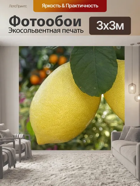 Фотообои Лимоны