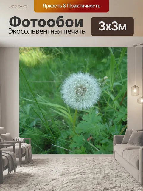 Фотообои Трава
