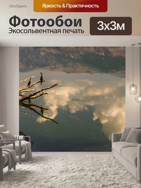 Фотообои Птицы
