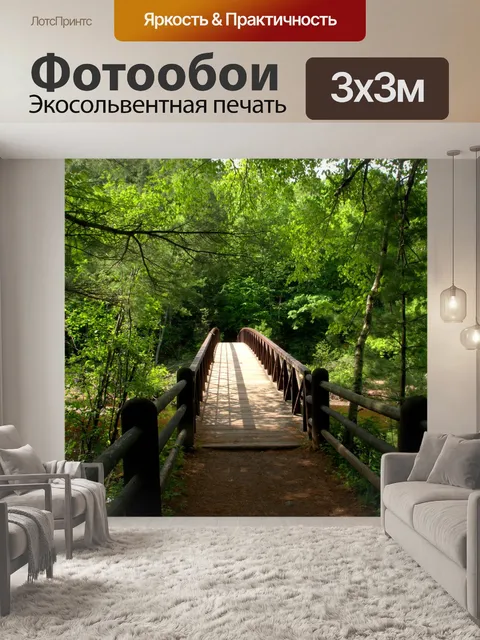 Фотообои Плохой мост через реку пешком
