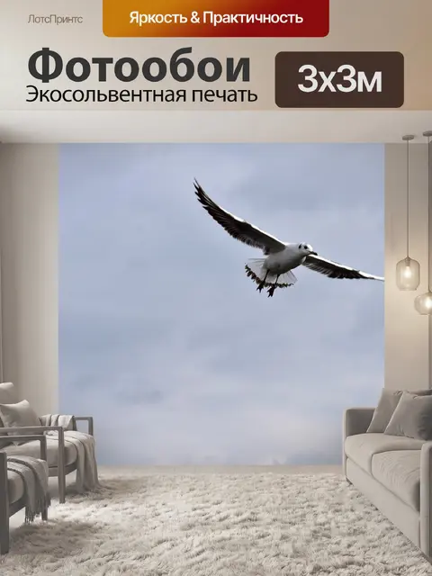 Фотообои Птица