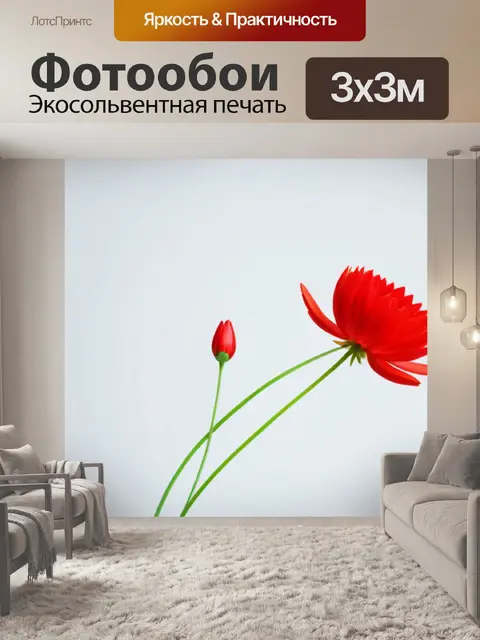 Фотообои цветы в стильном минимализме