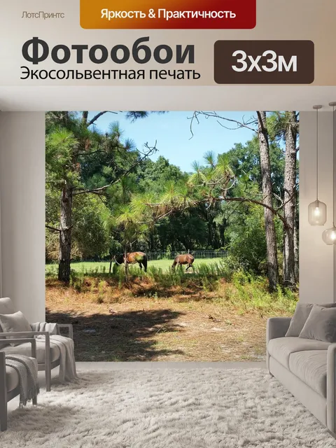 Фотообои Лошадь